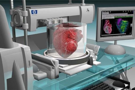 پرینتر سه بعدی قطعات قلب پرینتر ها ی سه بعدی