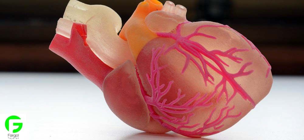 پرینتر سه بعدی قطعات قلب پرینتر ها ی سه بعدی