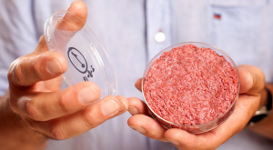 آینده صنعت چاپ مواد غذایی سه بعدی
