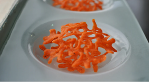 طراحی پرینت غذای سه بعدی